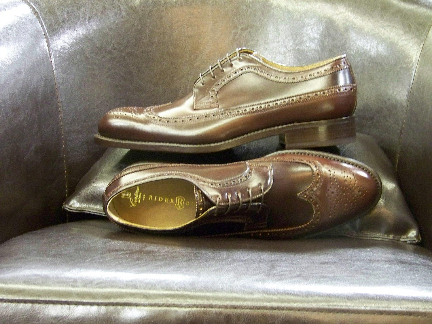 MTO - LongWing Derby - Brown Shell Cordovan